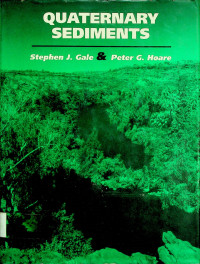 QUATERNARY SEDIMENTS