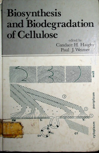 Biosynthesis and Biodegradation of Cellulose