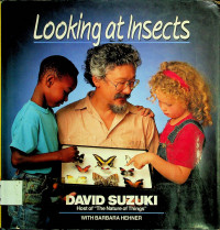 Looking at Insects