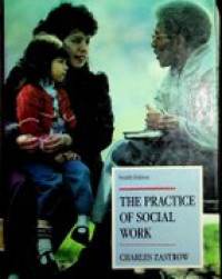 THE PRACTICE OF SOCIAL WORK Fourth Edition