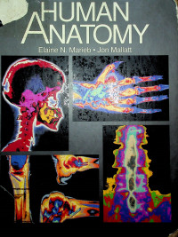 Human Anatomy