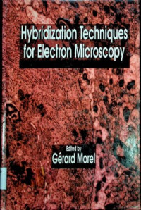 Hybridization Techniques for Electron Microscopy