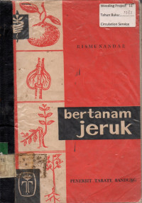 bertanam jeruk