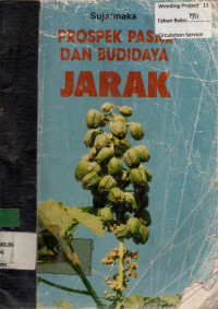 PROSPEK PASAR DAN BUDIDAYA JARAK