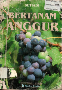 BERTANAM ANGGUR