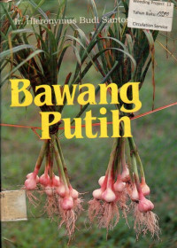 Bawang Putih