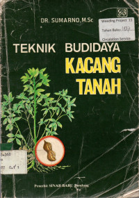 TEKNIK BUDIDAYA KACANG TANAH