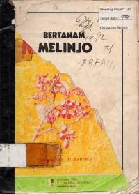 BERTANAM MELINJO