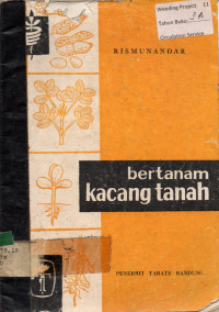 bertanam kacang tanah