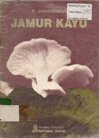 JAMUR KAYU