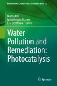 Water Pollution and Remediation: Photocatalysis