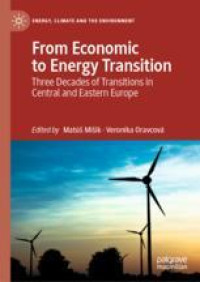 From Economic to Energy Transition