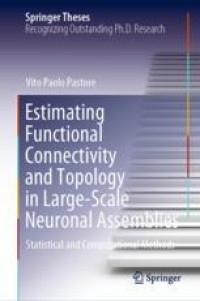 Estimating Functional Connectivity and Topology in Large-Scale Neuronal Assemblies