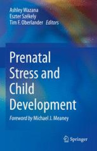 Prenatal Stress and Child Development