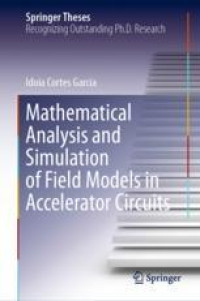 Mathematical Analysis and Simulation of Field Models in Accelerator Circuits