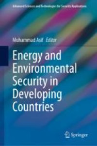 Energy and Environmental Security in Developing Countries