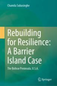 Rebuilding for Resilience: A Barrier Island Case