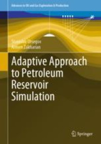 Adaptive Approach to Petroleum Reservoir Simulation