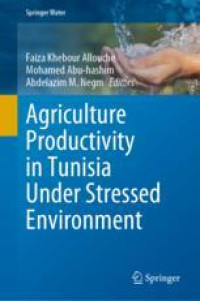 Agriculture Productivity in Tunisia Under Stressed Environment