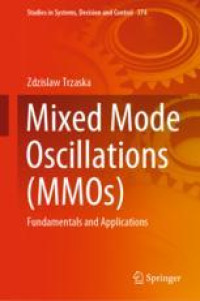 Mixed Mode Oscillations (MMOs)