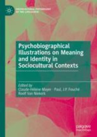 Psychobiographical Illustrations on Meaning and Identity in Sociocultural Contexts