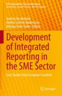 Development of Integrated Reporting in the SME Sector