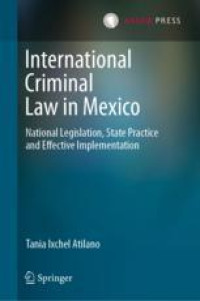 International Criminal Law in Mexico