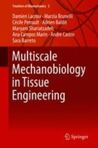 Multiscale Mechanobiology in Tissue Engineering