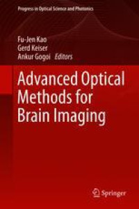 Advanced Optical Methods for Brain Imaging