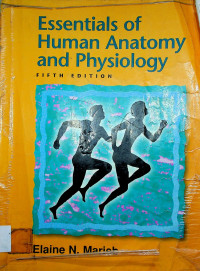 Essentials of Human Anatomy and Physiology FIFTH EDITION