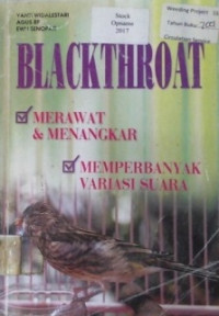 BLACKTHROAT; MERAWAT DAN MENANGKAR, MEMPERBANYAK VARIASI SUARA