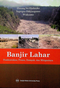 Banjir Lahar: Pembentukan, Proses, Dampak, dan Mitigasinya