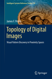Topology of Digital Images; Visual Pattern Discovery in Proximity Spaces