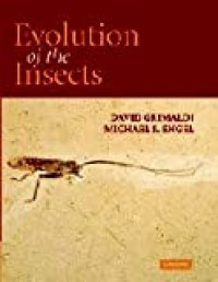 Evolution of the Insects