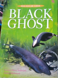 IKAN HIAS AIR TAWAR : BLACK GHOST