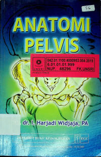 ANATOMI PELVIS